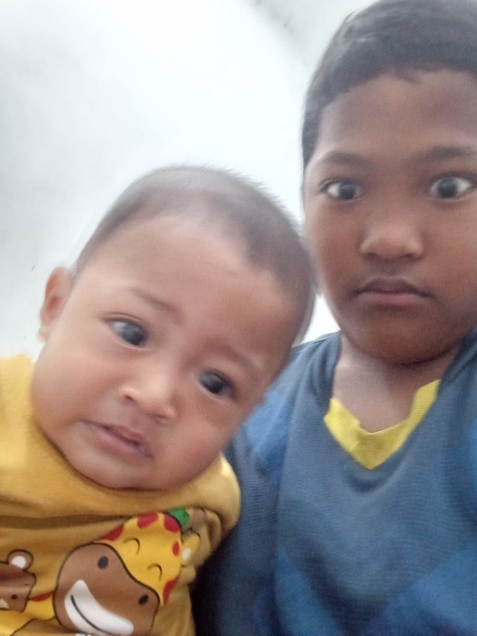Musang